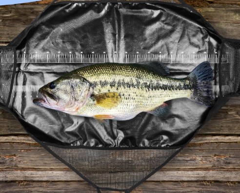 Photographed Fishing Unhooking – Fishing Bag Waterproof Bewertung und Preis